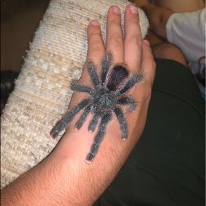 Meet your Posher, Jose